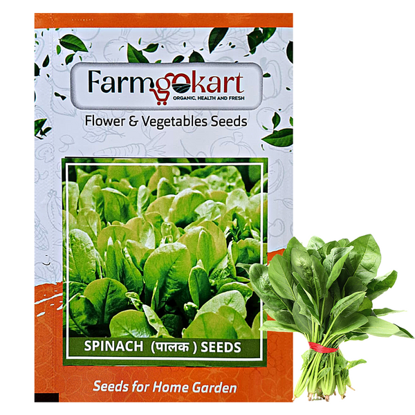 SPINACH -Pack of 10 Gms Seeds