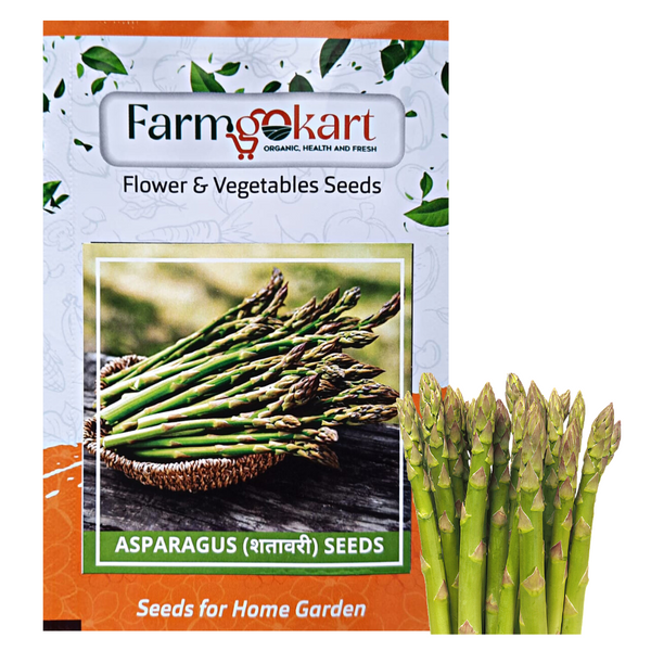 ASPARAGUS - Pack of 40 Seeds