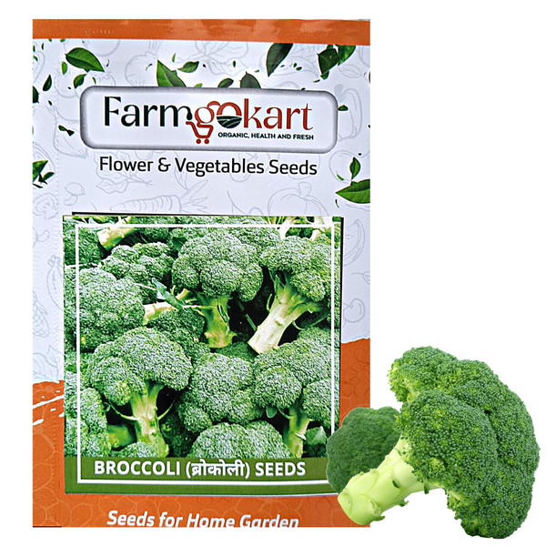 BROCCOLI SPROUTING - Pack of 100 Seeds