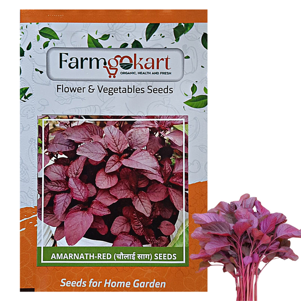 AMARANTHUS - RED -Pack of 10 Gms Seeds