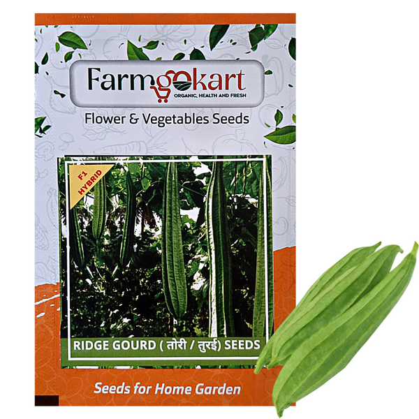 RIDGE GOURD F1 HYBRID -Pack of 10 Seeds
