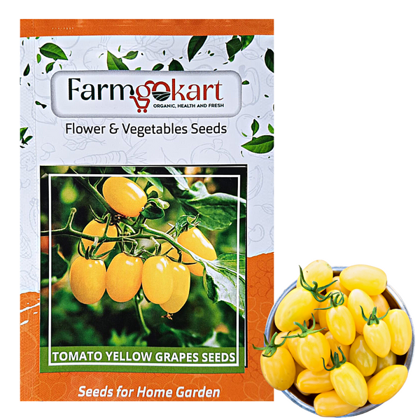 YELLOW CHERRY TOMATO  - Pack of 25 Seeds