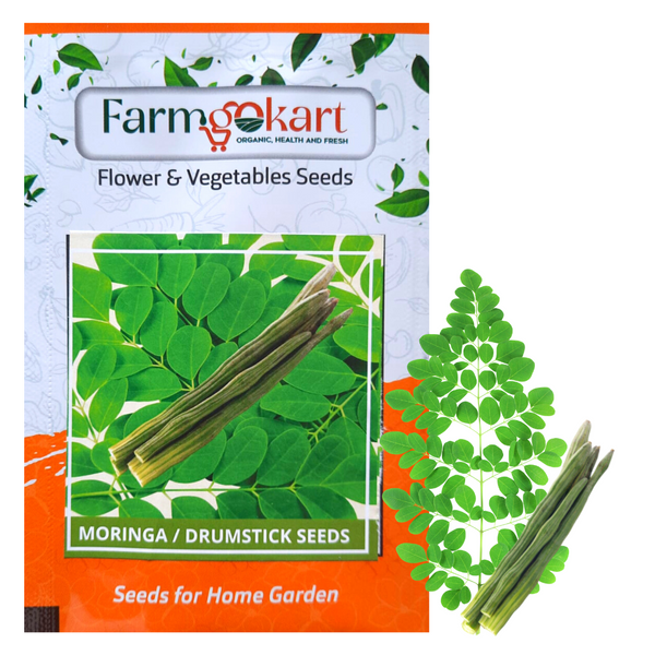 MORINGA -DRUMSTICK - Pack of 20 Seeds