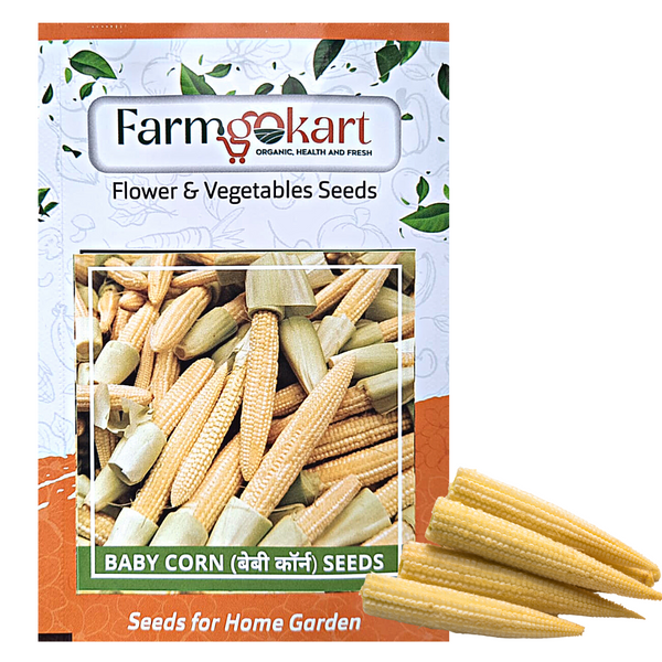 BABY CORN  - Pack of 20 Seeds