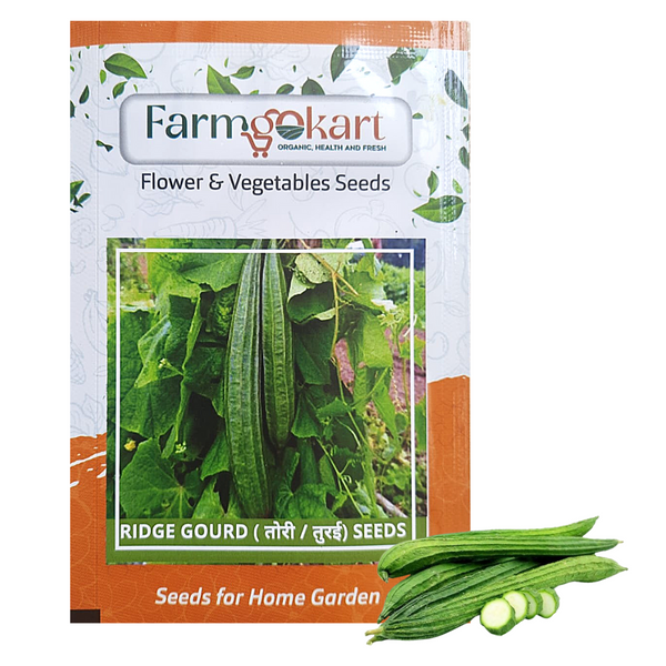 RIDGE GOURD -Pack of 25 Seeds