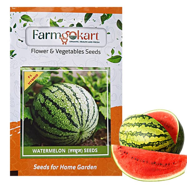 WATER MELON - STRIPED F1 HYRBID -Pack of 10 Seeds