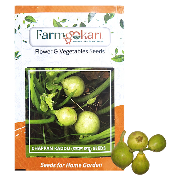 CHAPPAN KADU  -Pack of 10 Seeds