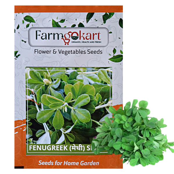 METHI -Pack of 10 Gms Seeds
