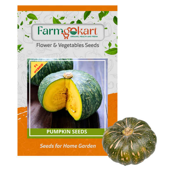 PUMPKIN ROUND  F1 HYBRID -Pack of 15 Seeds