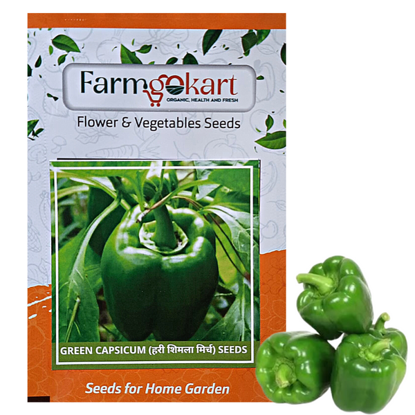 CAPSICUM GREEN  -Pack of 25 Seeds