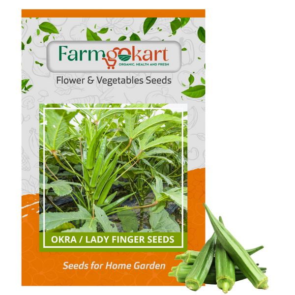 OKRA  -Pack of 10 Gms Seeds