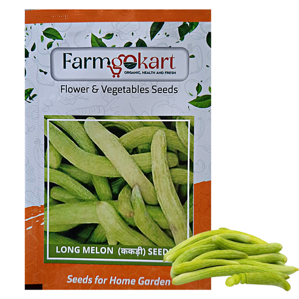 LONG MELON (KAKRI) -Pack of 100 Seeds