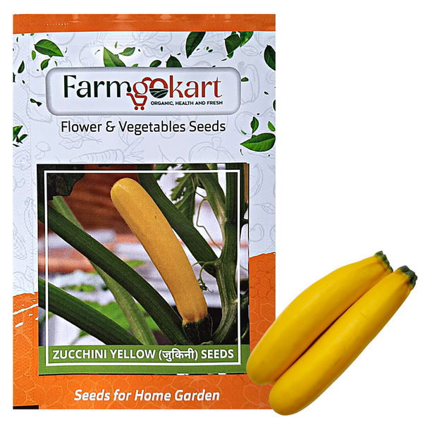 YELLOW ZUCCHINI  - Pack of 10 Seeds