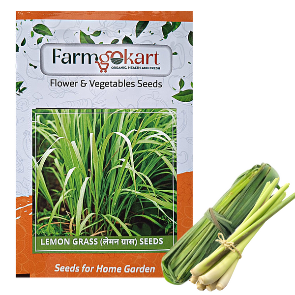 LEMON GRASS - Pack of 100 Seeds