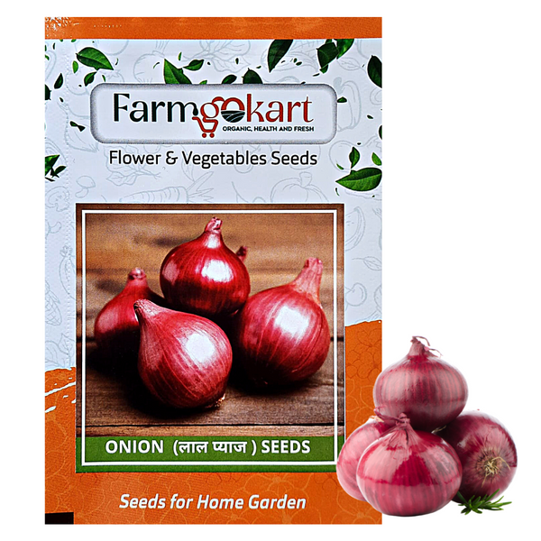ONION -Pack of 500 Seeds