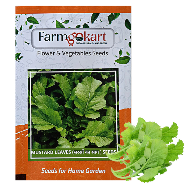 MUSTARD LEAVES -Pack of 10 Gms Seeds