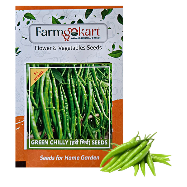 GREEN CHILLI F1 HYBRID -Pack of 50 Seeds