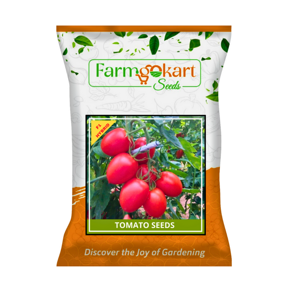 TOMATO (TAMATAR) OVAL SHAPED F1-HYBRID SEEDS - 5 Grams (Appx Seed Count 1250 Seeds)