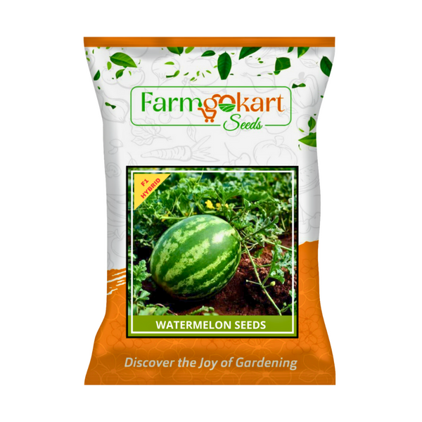 WATER MELON - STRIPED F1 HYRBID Seeds  - 10 Grams
