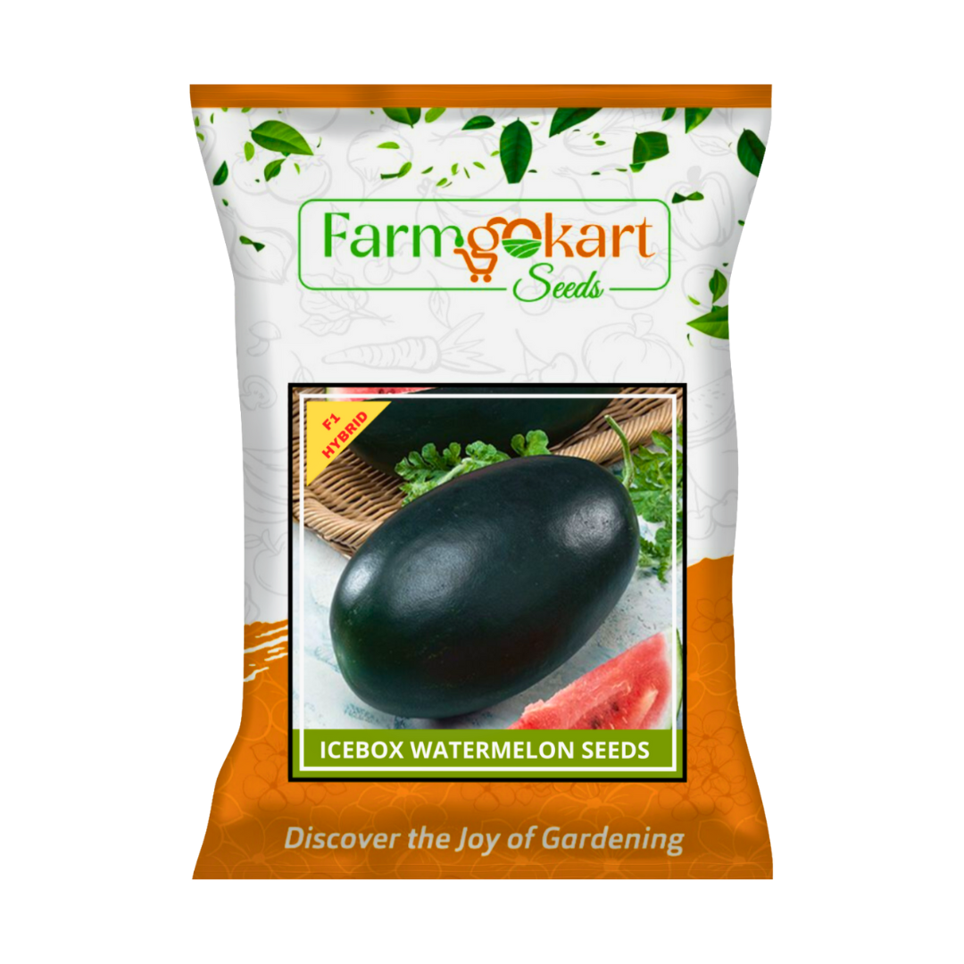 WATER MELON (ICE BOX - OVAL SHAPED) F1 - HYBRID SEEDS - 10 Grams (Appx ...