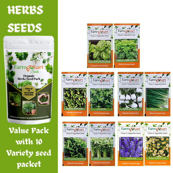 Pack  of 10-variety Essentail Herbs Seeds combo pack for Home Gardening | Grow your own Herbs