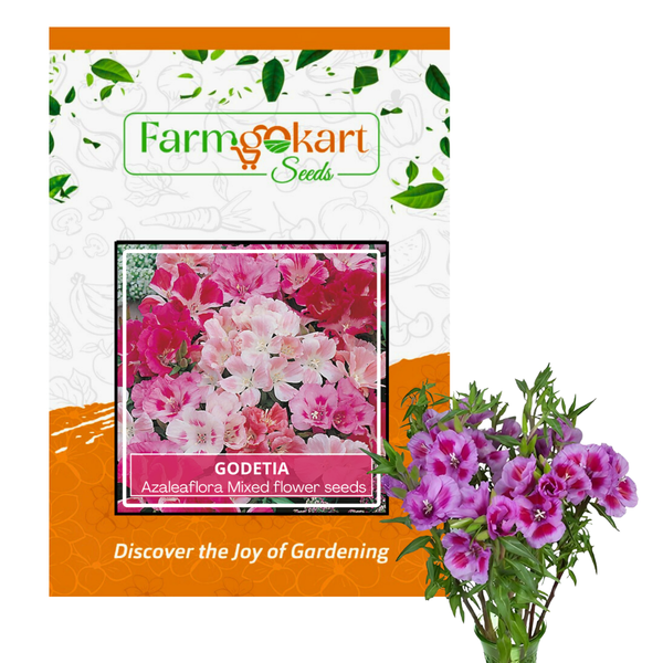 Godetia Azalea flora Mixed- Pack of 300 Seeds