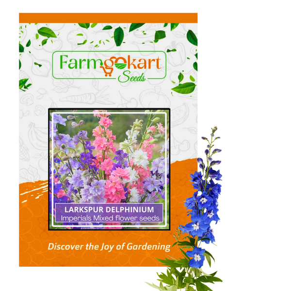 Larkspur Delphinium Consolida Imperial Mixed- Pack of 125 Seeds