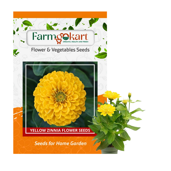 Zinnia Yellow Flower - Pack of 100 Seeds