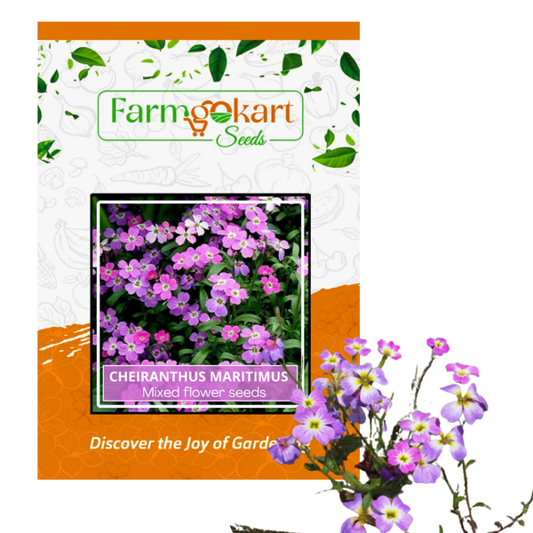 Cheiranthus Maritimus Mixed- Pack of 300 Seeds