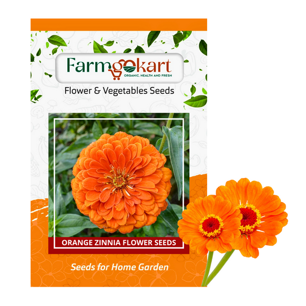 Zinnia Orange Flower - Pack of 100 Seeds