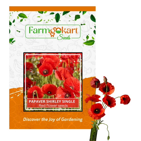 Papaver Rhoeas Shirley Single Red  - Pack of 300 Seeds