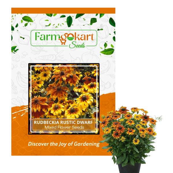 Rudbeckia Rustic Dwarf Mixed - Pack of 30 Seeds