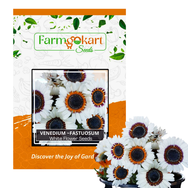 Vanadium fastuosum White - Pack of 200 Seeds