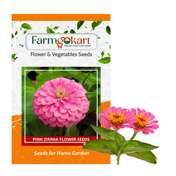 Zinnia Pink Flower - Pack of 100 Seeds