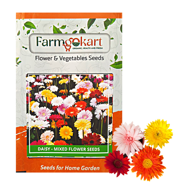 Daisy  Grower Seeds Pack - 10 Gms