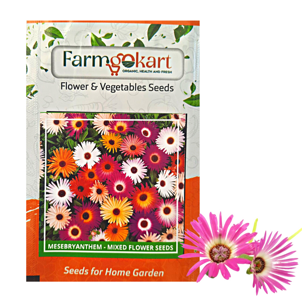Mesembrayanthemum - Mixed Flower - Pack of 400 Seeds