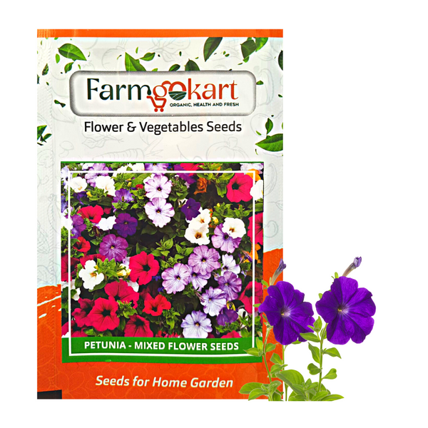 Petunia  Mixed Flower - Pack of 800 Seeds