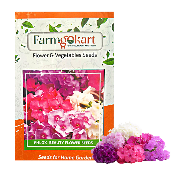 Phlox- Beauty Mixed Flower - Pack of 200 Seeds