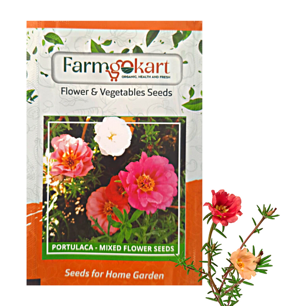 Portulaca  Mixed Flower - Pack of 400 Seeds