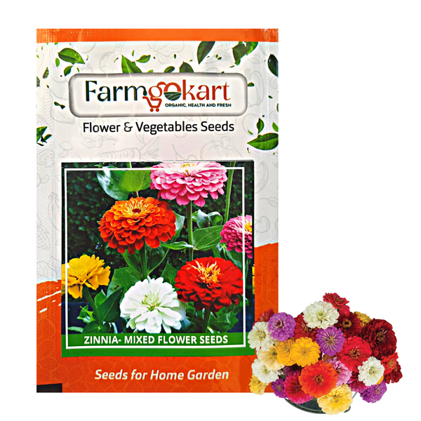 Zinnia Mixed Flower - Pack of 100 Seeds