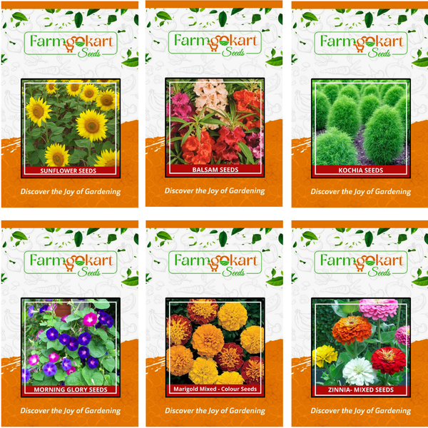 flower seeds list Anthurium - Snap Dragon Flower
