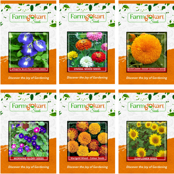 summer flower seeds list Summer Season Flower Seeds Combo Collection Pack 6 Variety (Platinum ~ –  Farmgokart