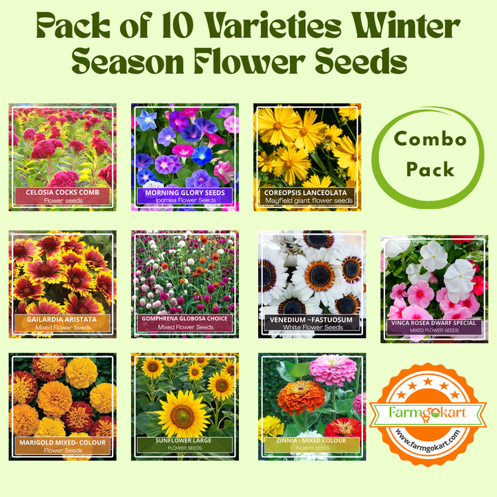 winter flower seeds combo pack Summer Season Home Gardening Flower Seeds Collection