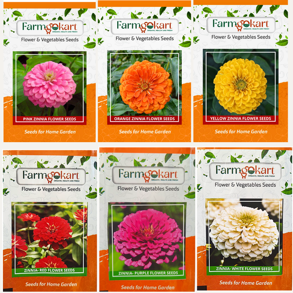 flower seeds combo pack Summer Season Flower Seeds Combo Collection Pack 6 Variety (Diamond ~  Flower Seed Collection)