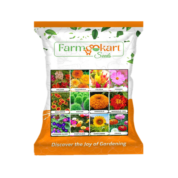 Summer Season flower Seeds | Combo Pack of 12 Varieties for Home Gardening |