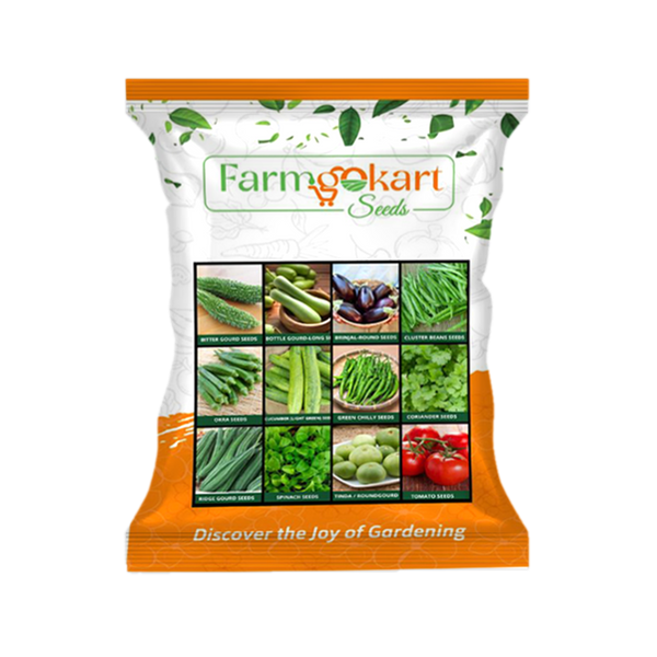 Summer season Value pack of 12 Varieties of Vegetable Seeds | for Home Gardening
